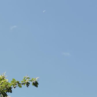 見上げると残月