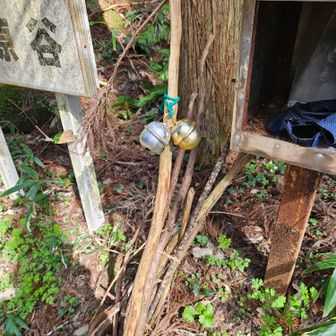 おっと、杖を返しておかないと！