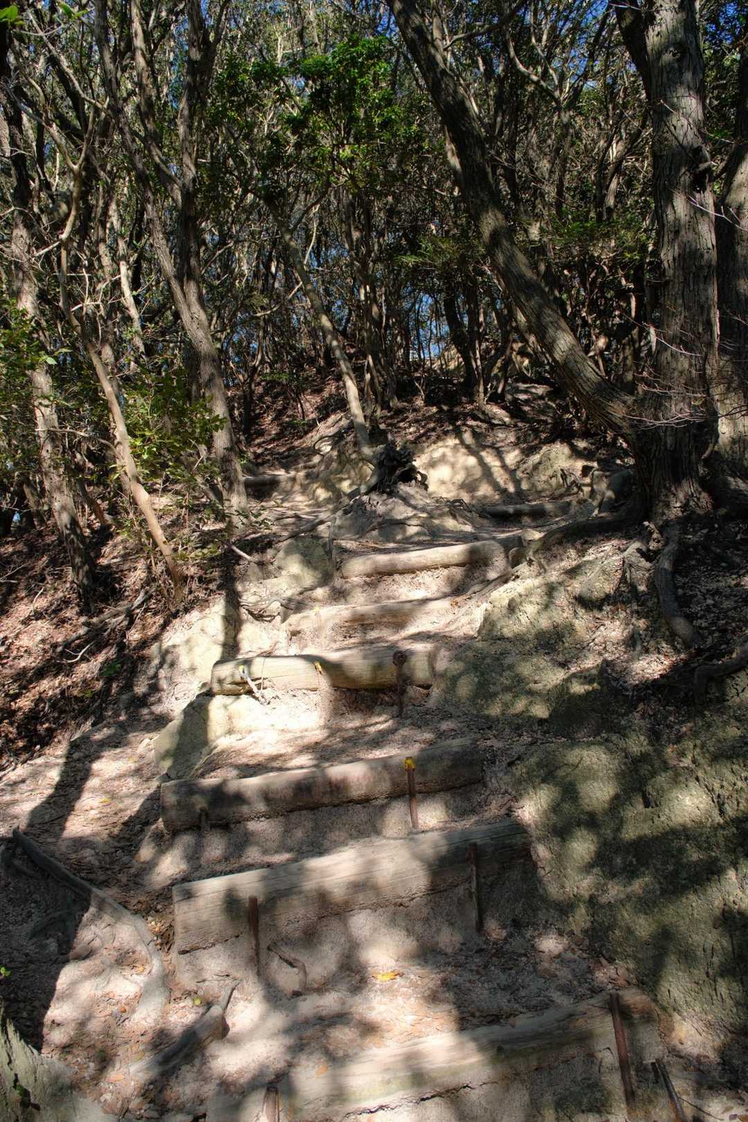 栂尾山から横尾山まではアップダウンあり💦

でも登山道は踏み固められていて、さすが六甲全山縦走路！という感じでした🥾