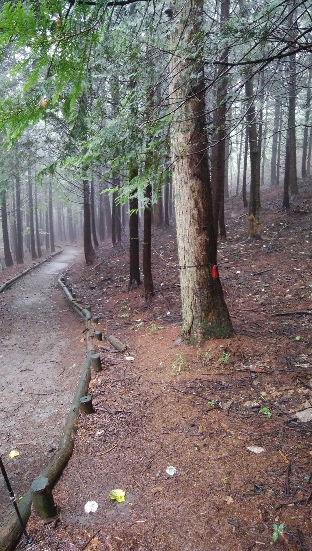 荒山高原登山口-荒山高原-火起山 往復コースの写真