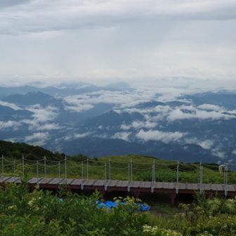 天気が良くならないかなーと希望的観測