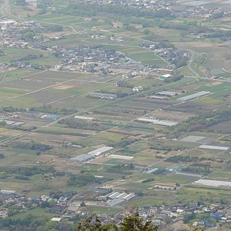 湯布院の森号🚃（真ん中辺り）
のどかだな〜🤗