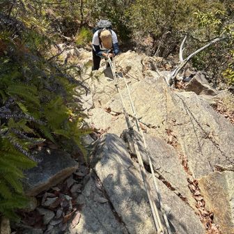 家内もスイスイ