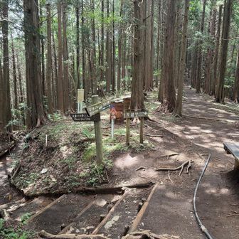 ここを左に行かないとコースアウトです…ここで気力が切れてしまい…以降の画像がありません…涙

お疲れ様でした。