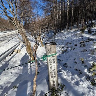 ではっスタート▶️
なんやかんやしてたら、9時過ぎたし
ぜんぜん寒くなかった〜