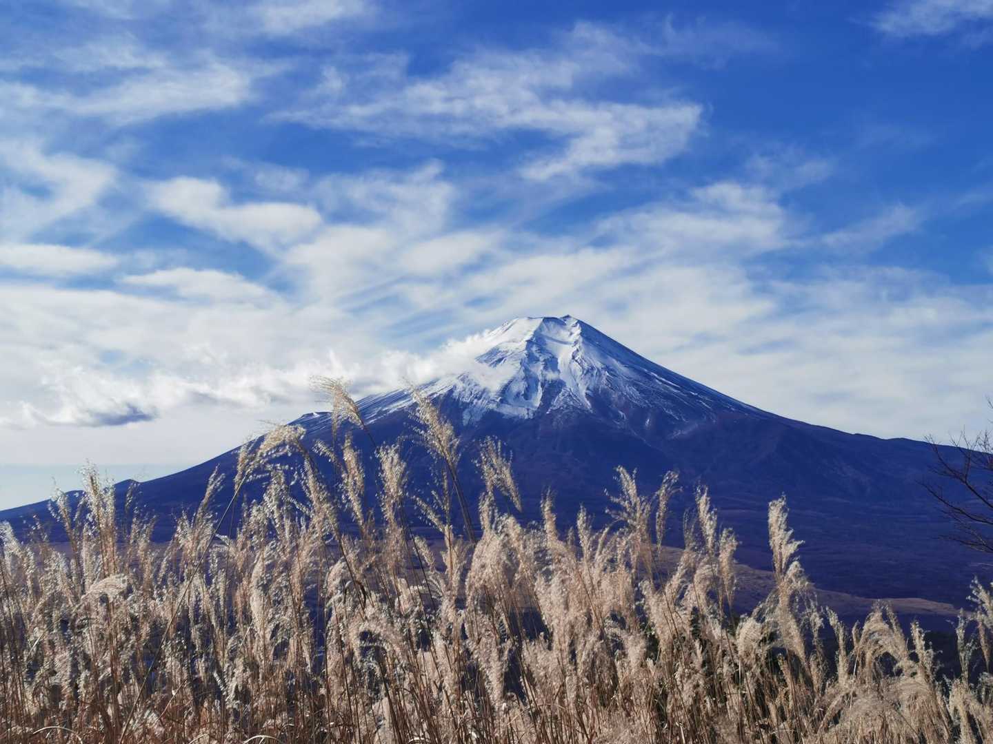 美しい富士山が応援してくれます