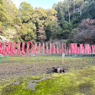 焼失した准胝堂再建予定地