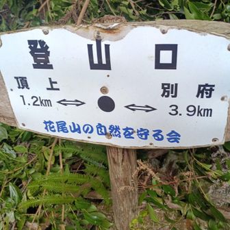 ここから登ります