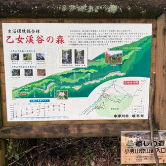 乙女渓谷の森🌲💧