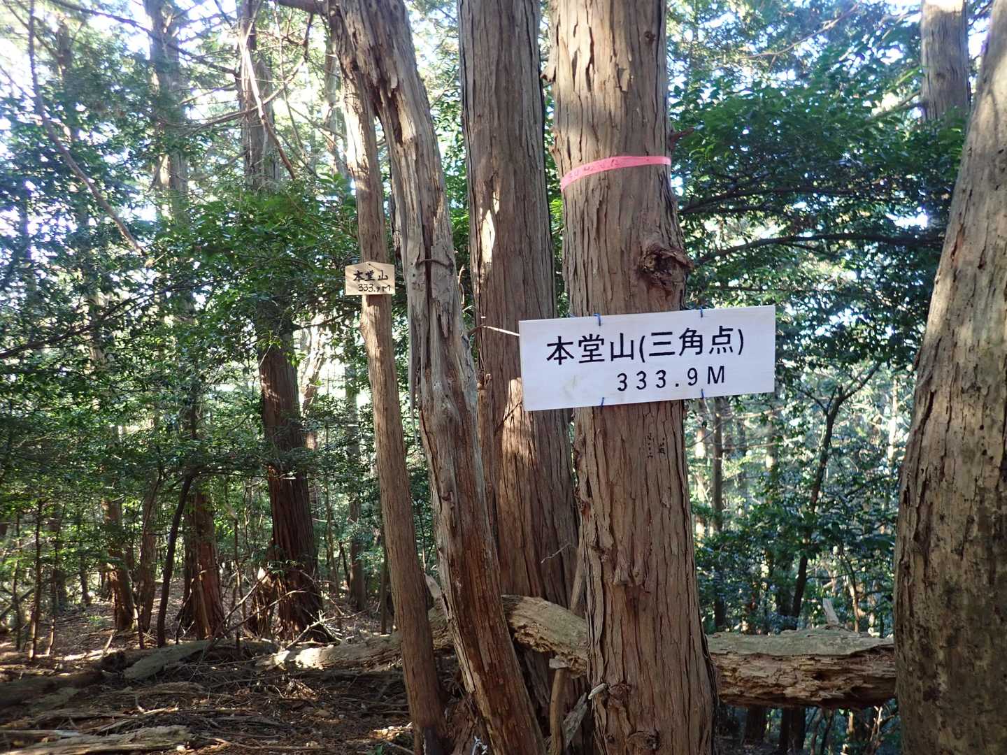 本堂山・三角点