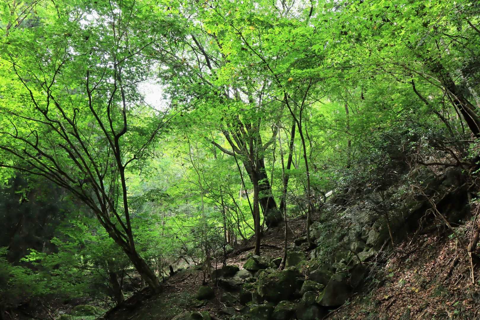 東回りで黒の田湿地へ💚