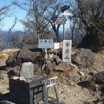 やっと市房山頂上に着きました😭