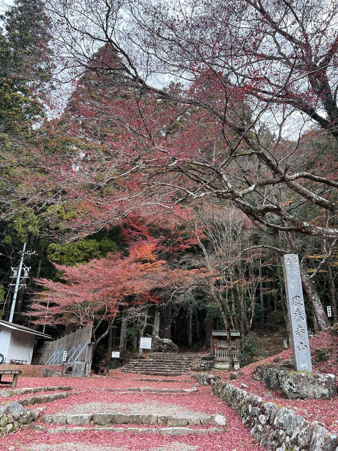 登山口🍁