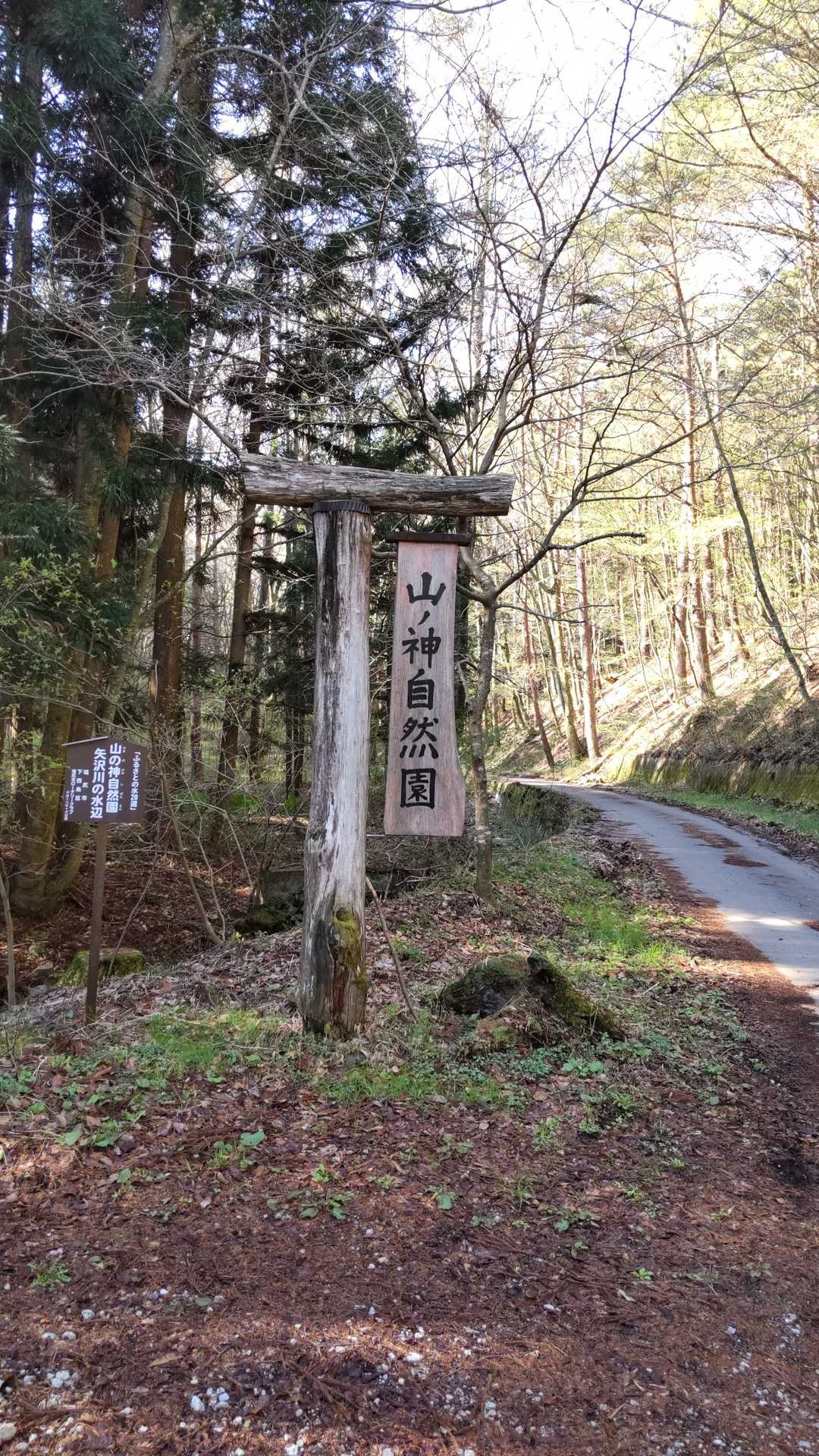 山ノ神自然園-霧訪山登山口-霧訪山 周回コースの写真