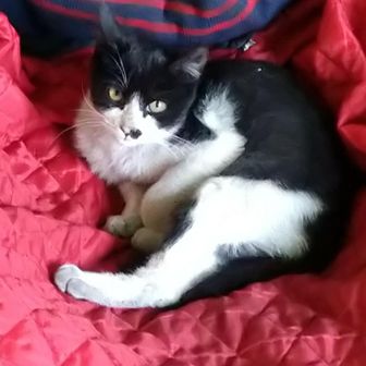 名古屋のドンファン