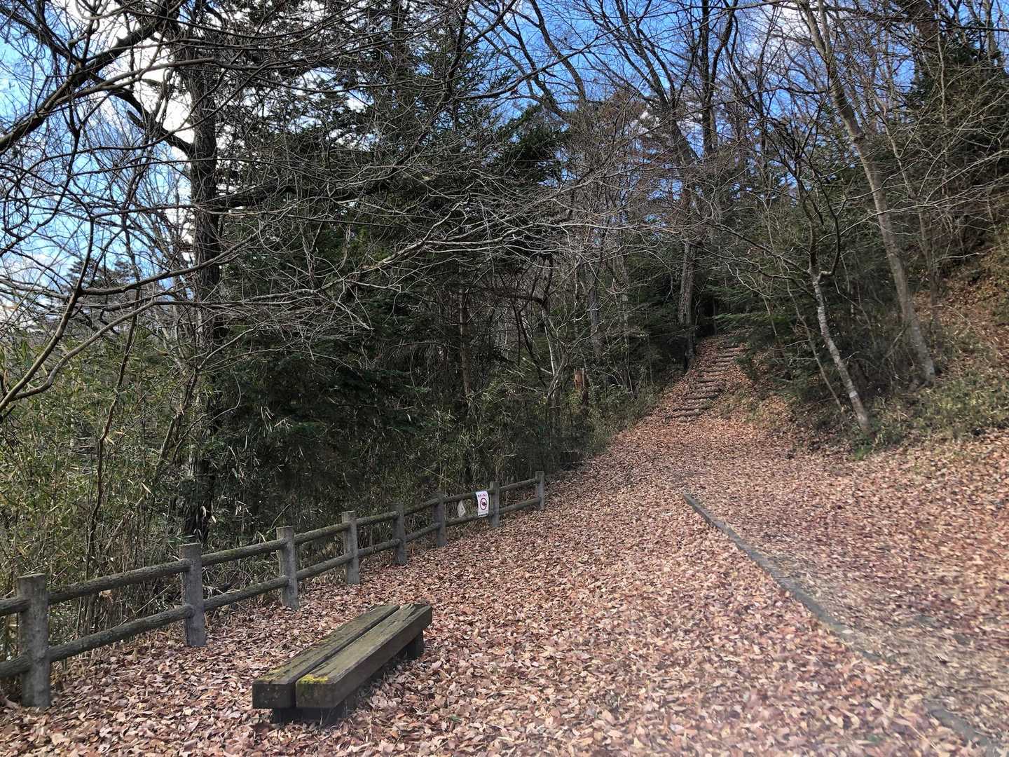 歩きやすいザ・公園の散策路です