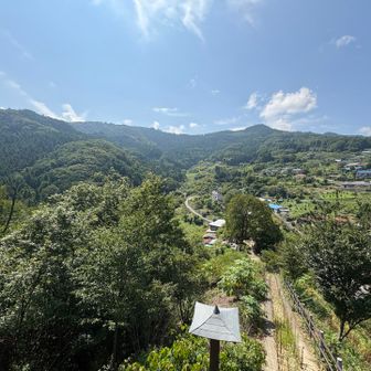 外秩父の主稜線を望む。