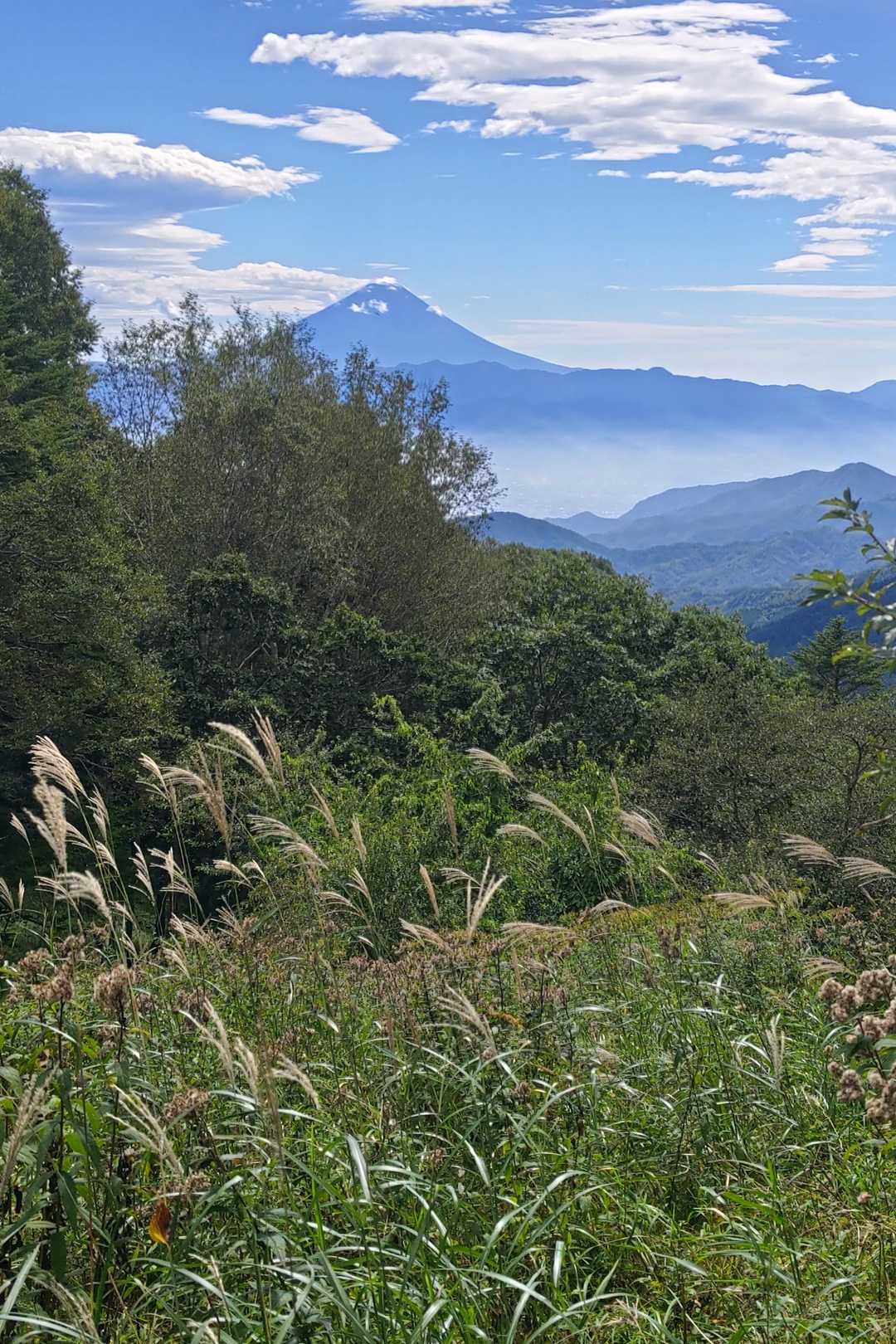 富士山