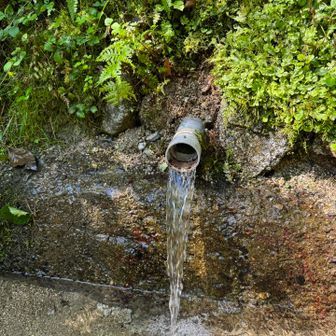 金剛の水
