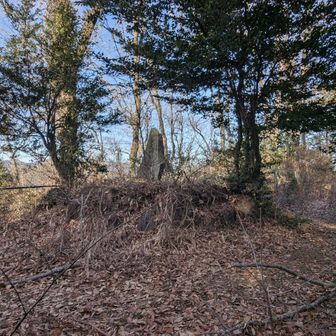 山頂っぽいけど三角点は左手