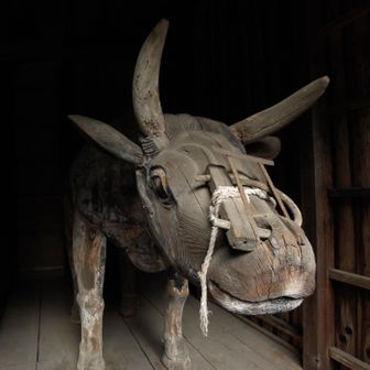 ぜかい確認忘れ😆チェック✅️