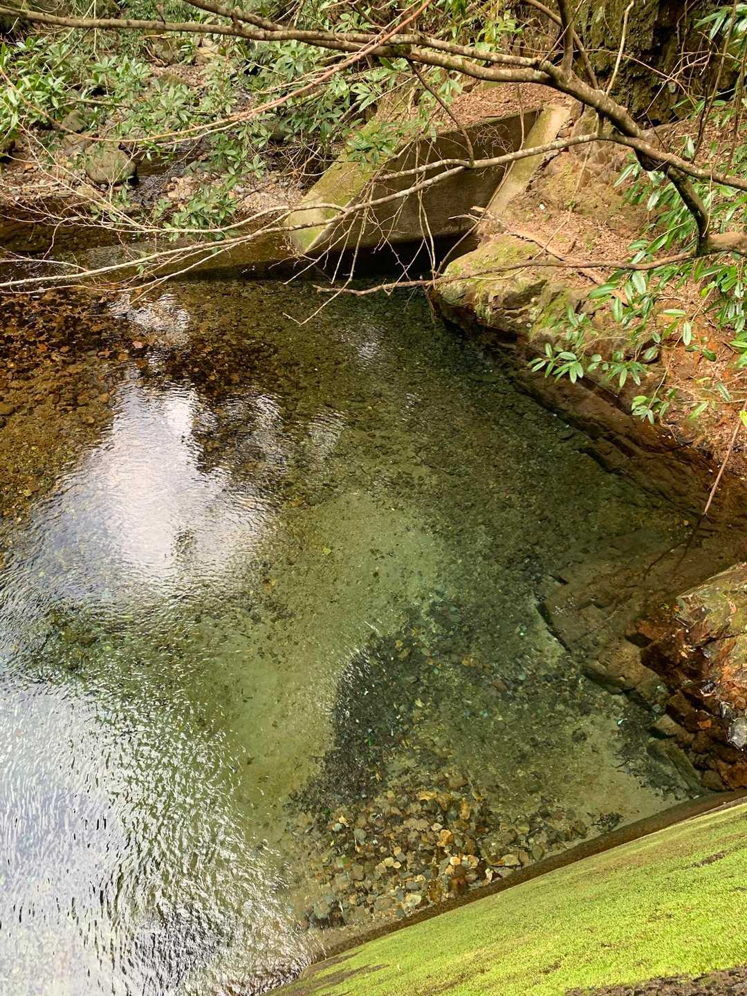 ダム？の水、めっちゃきれい！