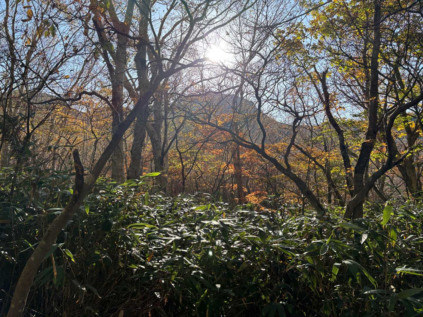 峠の茶屋登山口-朝日岳-1900m峰-三本槍岳-大峠 周回コースの写真