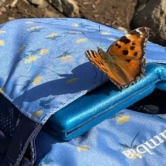 花柄のザックにとまってる〜♪🤭