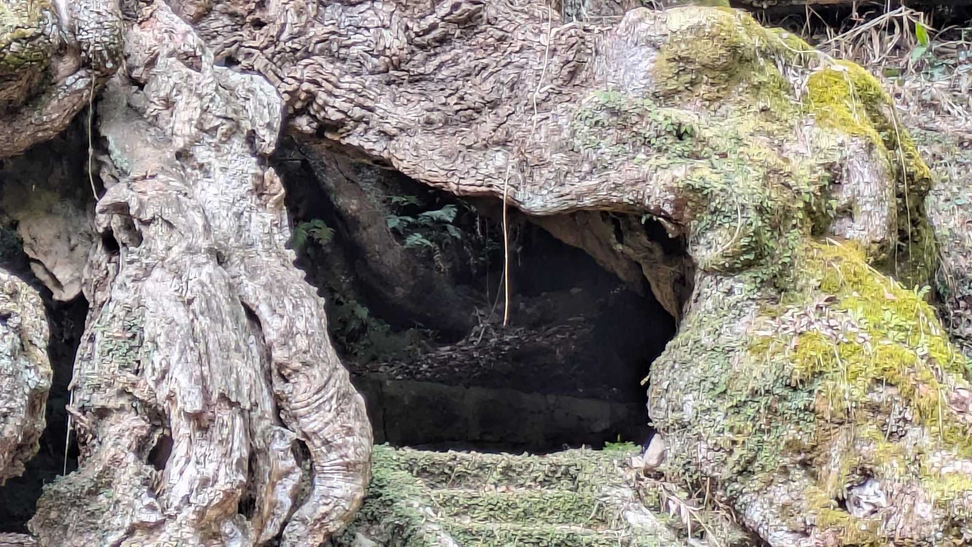 よりズームで、中を🧐
居住空間が…
