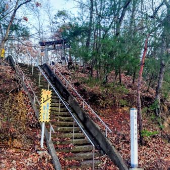 お次もお山とは程遠いが...