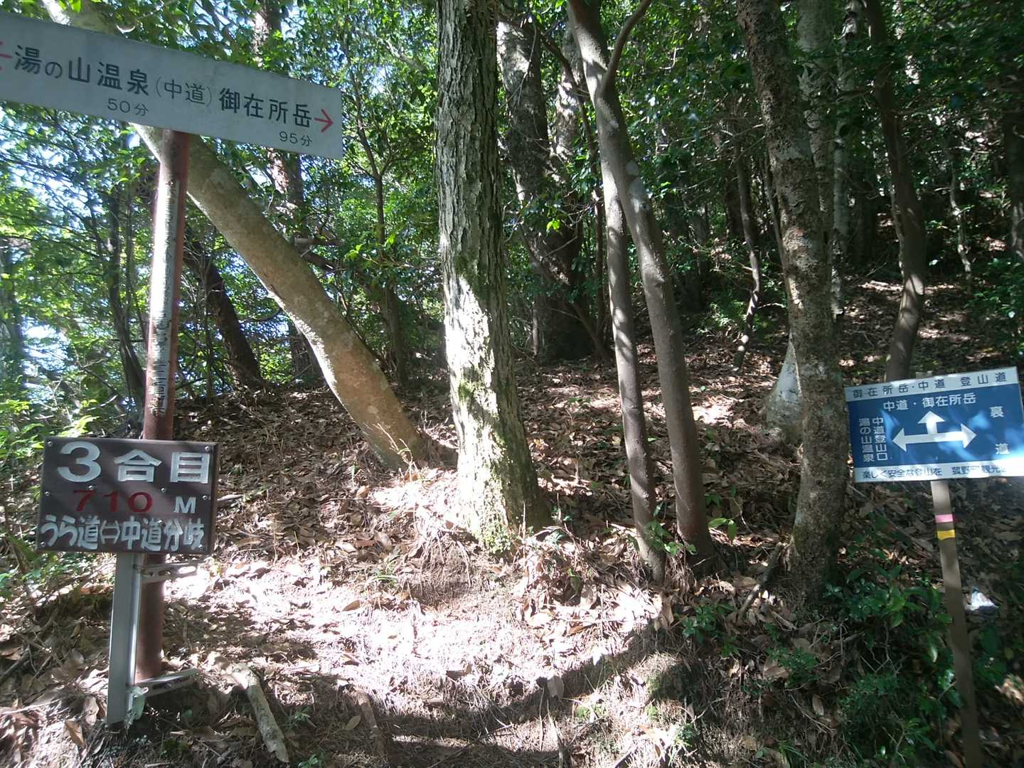 中道に出ました。
途中の急登はきつかった。