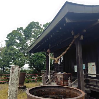 ここが真弓山山頂🙌三角点も山頂標識もは見つからず🙏