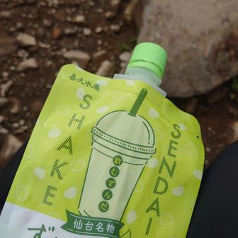 山頂にて
ずんだシェイクで休憩
すいか🍉も食べました
