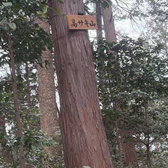 高サキ山山頂⛰️