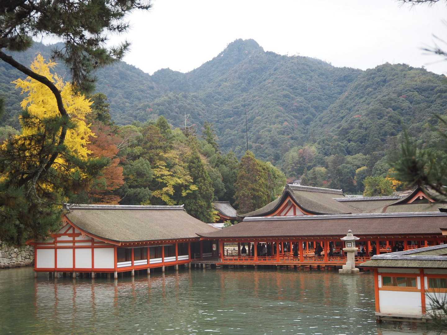 朝は引いていた水が神社まで来ていました。浮かんでいるようでやはり素晴らしいですね〜