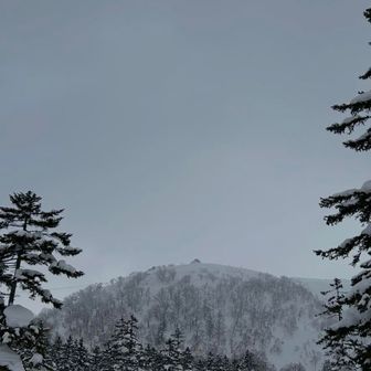 おっぱいにみえた。