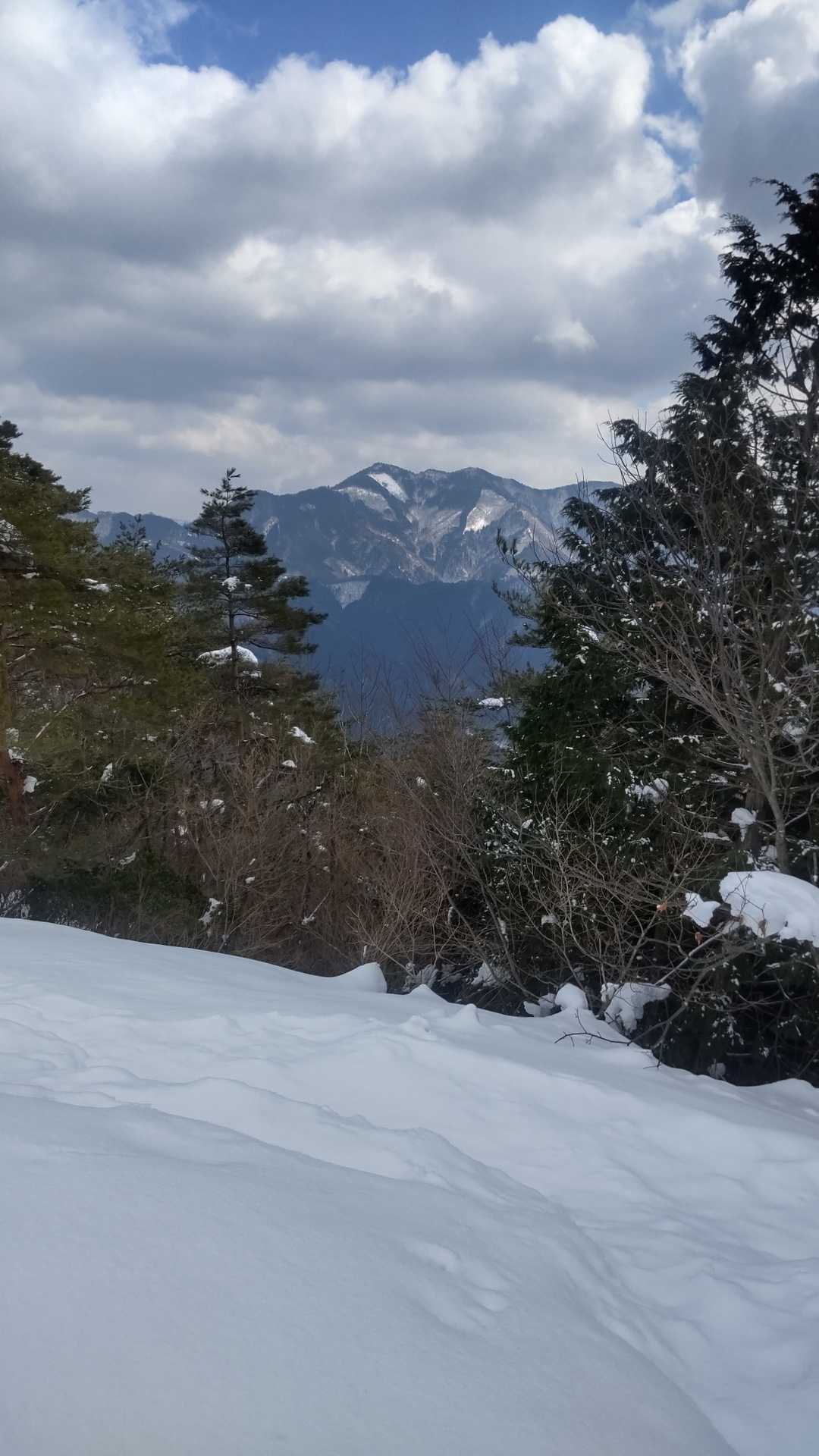 どうも…本日…
誰も来てませんね…
三室山が綺麗です✨🎵