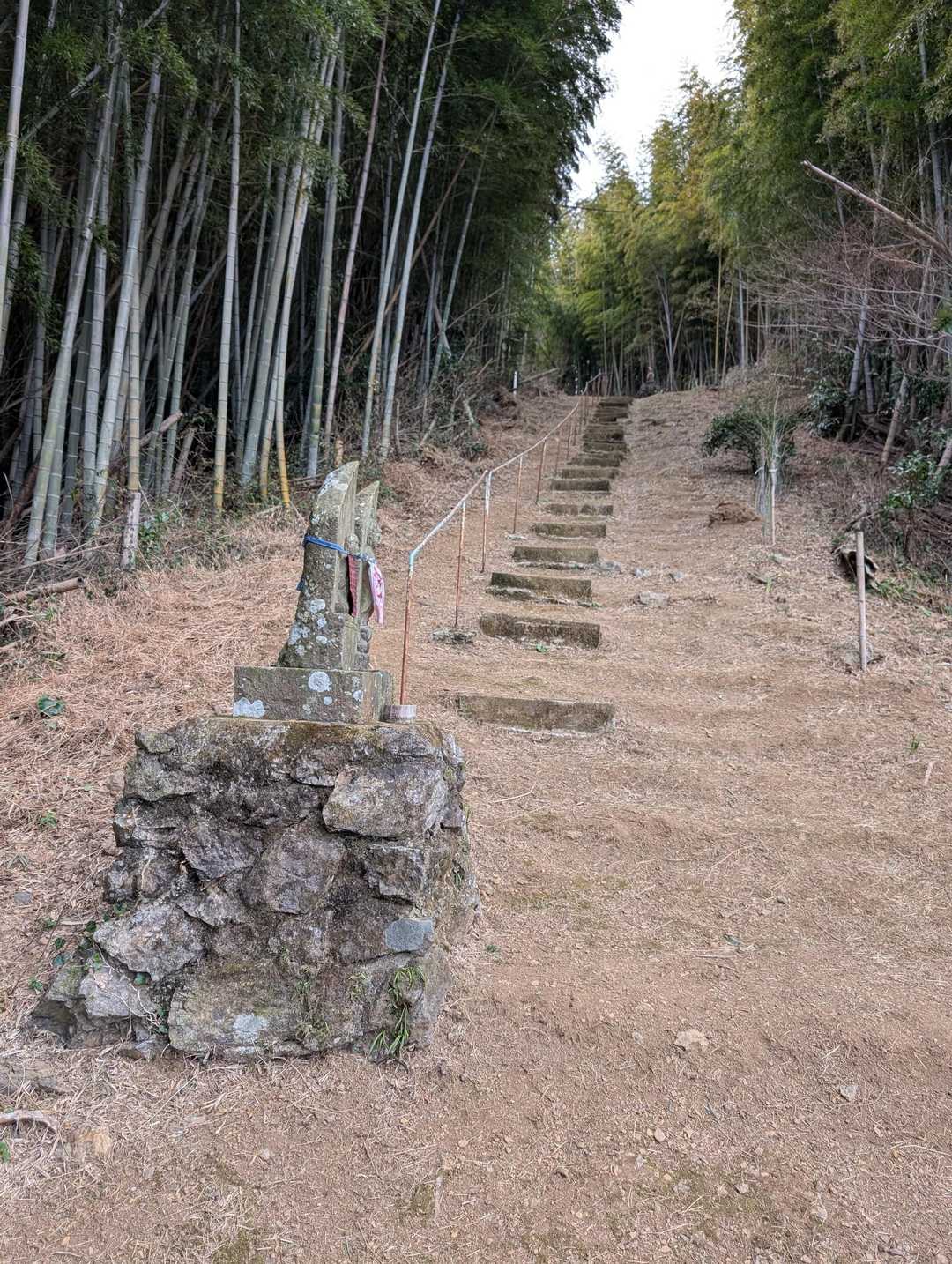 まだまだ続くよ