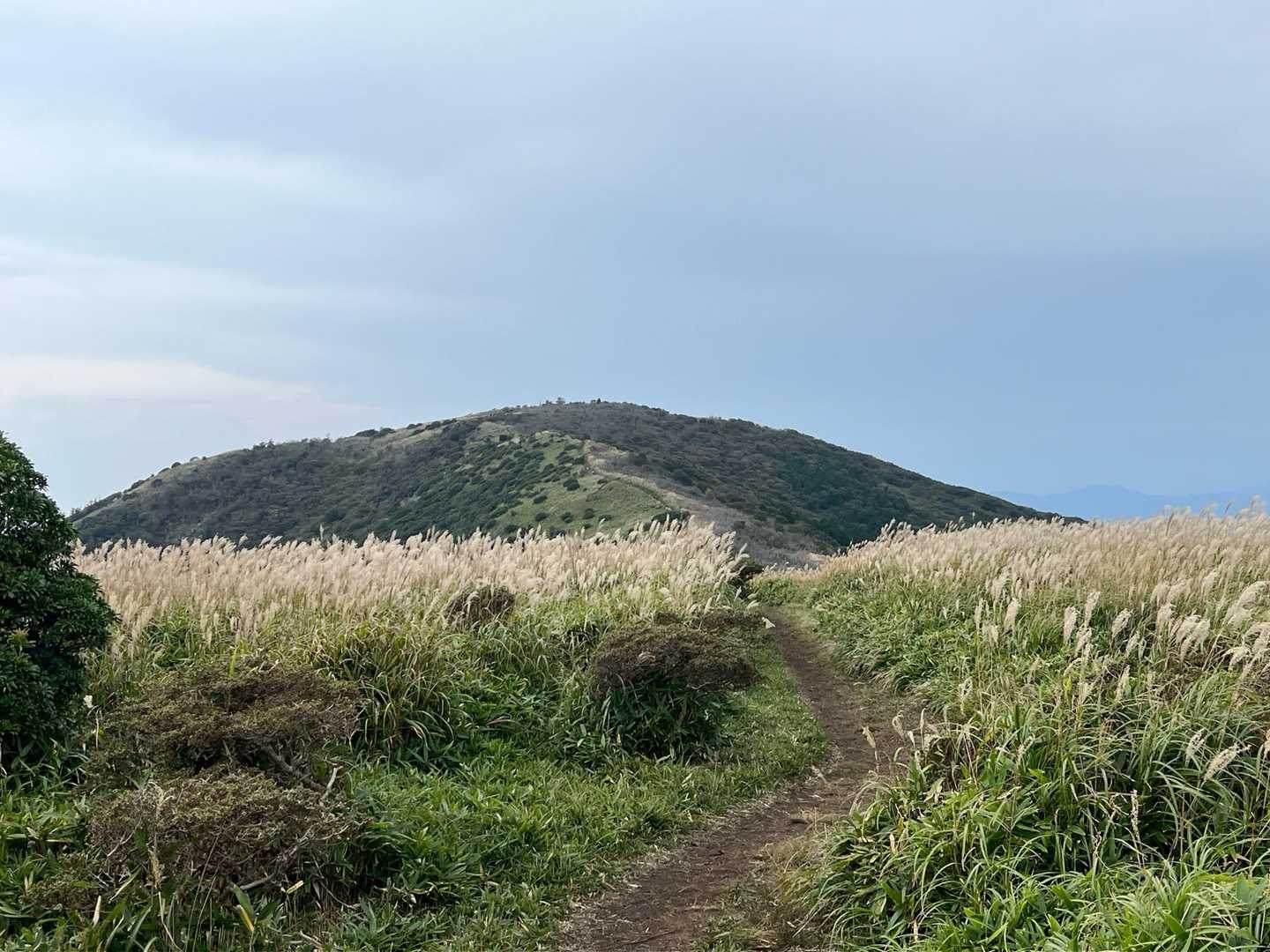 猟師山　
ちょっと　かぜがでてきました