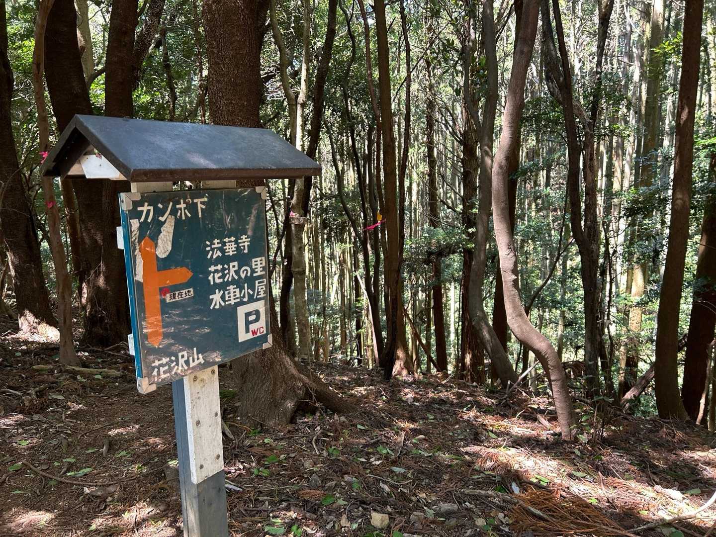 花沢山へ
