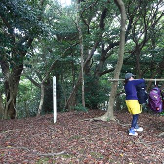 金山南岳