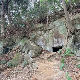 ここにも洞窟
この辺りにリス🐿️が居たよ