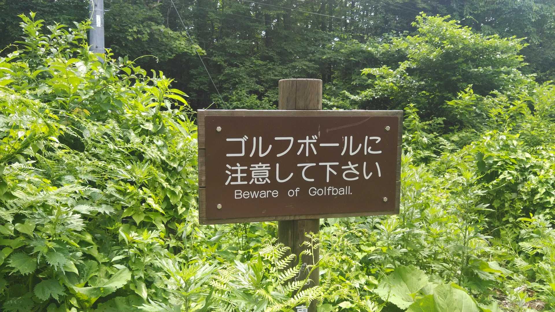 ゴルフボールほんとに注意。