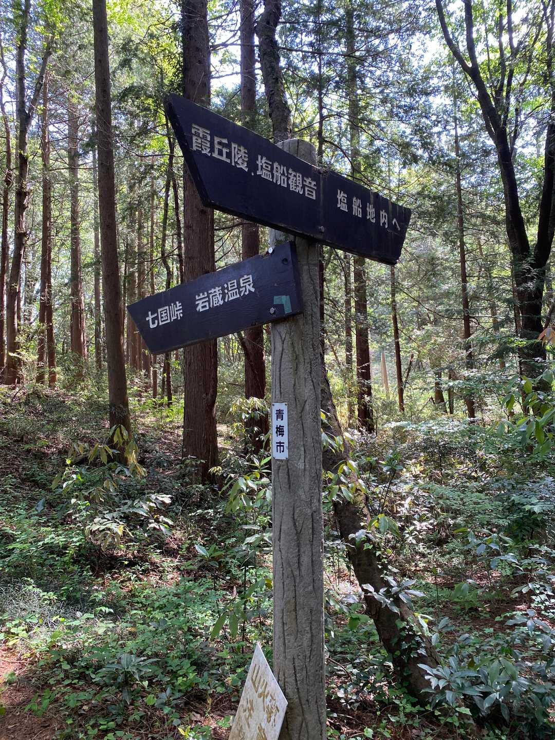 七国山へ