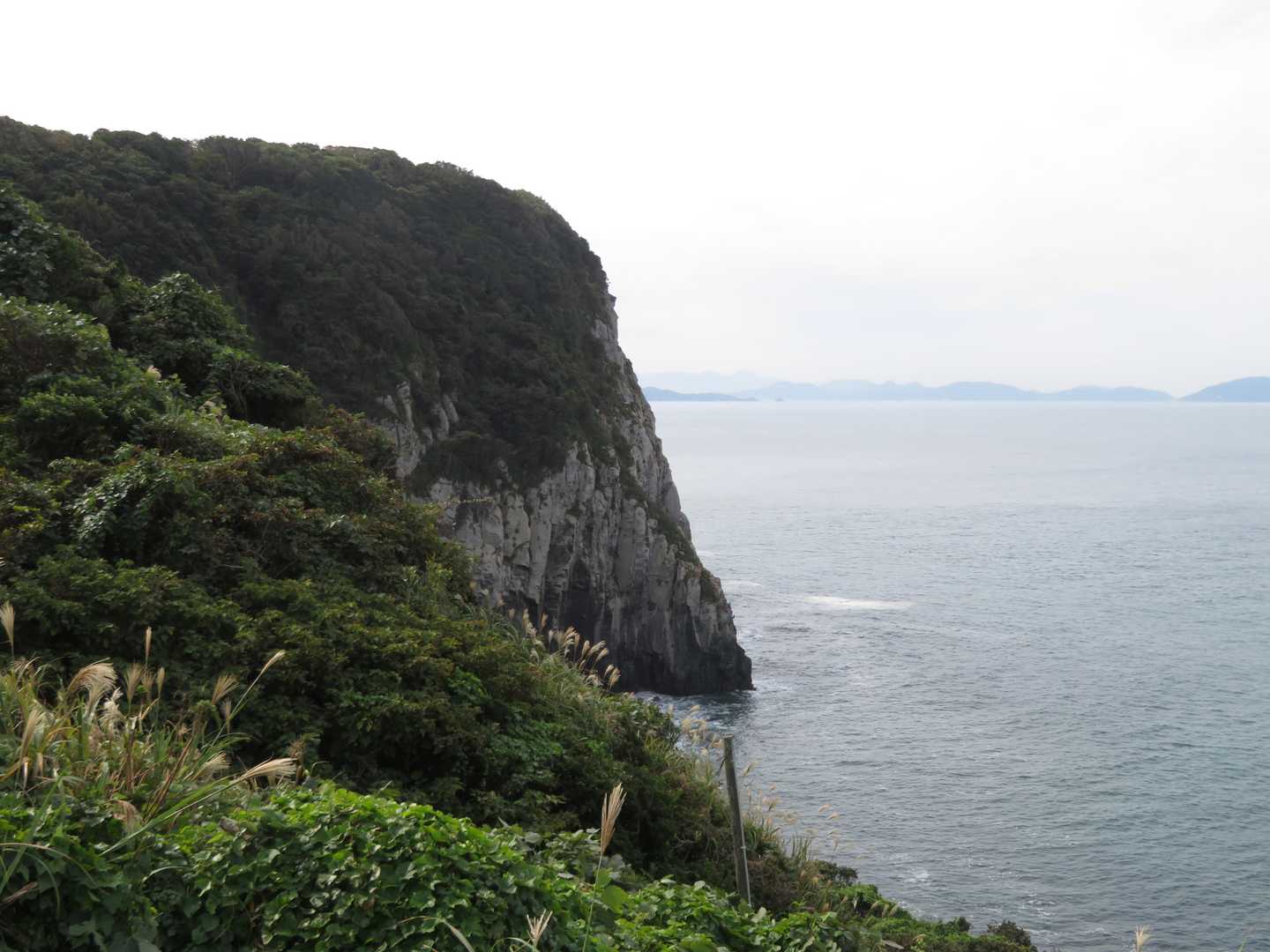 井の浦