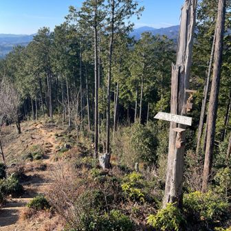 かもしか新道を下ります。