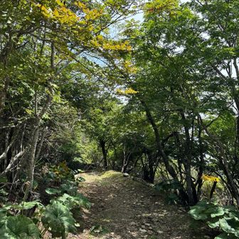 さて…三ッ峠山へ向かいます