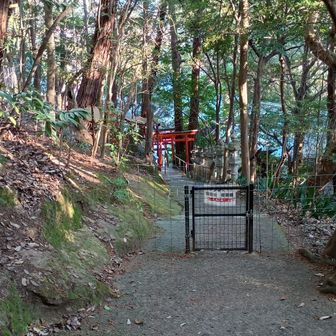 奥の赤い鳥居のところが鹿嶋神社
手前は獣害避けゲートです
しっかりした施錠金具が付いているのでこのゲートは開けやすい