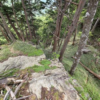 鞍部への戻り