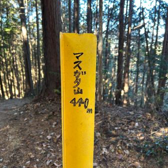 マスガタ山　手書きです😂